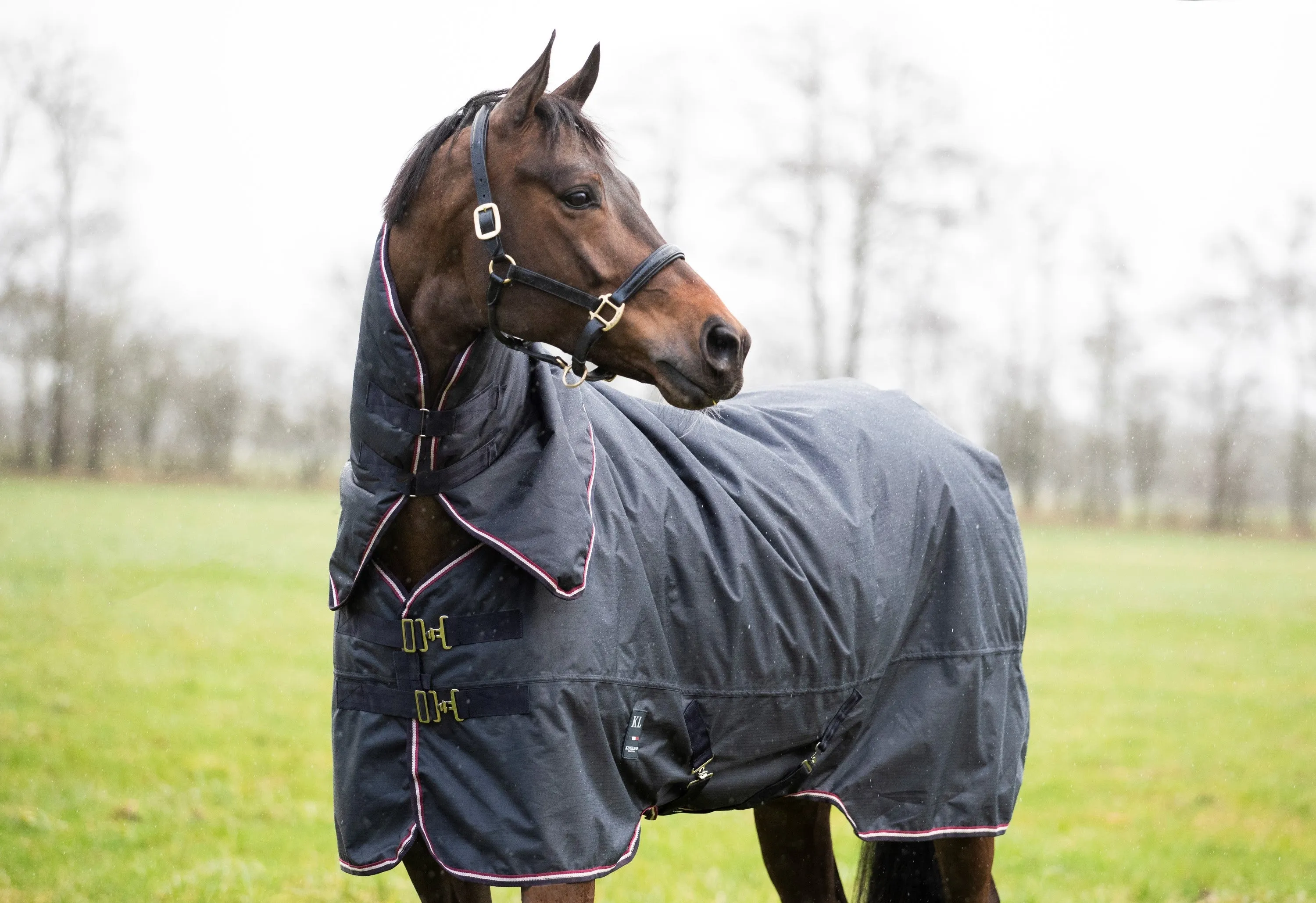 Classic Primary Turnout Rug with Detachable Neck 400g